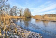 Zwolle Zuid geniet van winterse dag