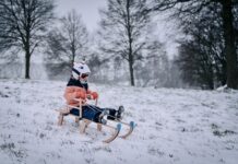Timelapse: zo toverde sneeuw Zwolle Zuid om tot een wonderwereld