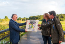 Schellerpark is de beste plek voor insecten in Nederland