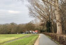 Populieren in Engelse Werk gekapt voor veiligheid