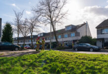 Boom dreigt over Jofferenlaan te vallen