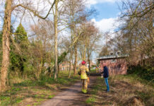 Wandelpad afgesloten door gevaarlijk hangende boom