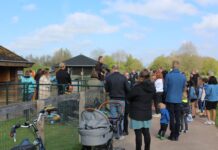 Paashaas verstopt weer paaseieren op dierenweide ‘t Spiekertje