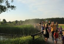 Avondvierdaagse met duizenden wandelaars door Zwolle Zuid