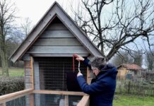 Vrijwilligers maken kippenren voor wijkboerderij de Schellerhoeve