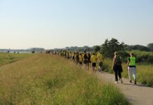 Fotoverslag: avondvierdaagse door Zwolle Zuid