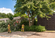 Grote tak breekt af bij kinderopvang