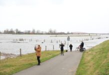 Hoogwater IJssel trekt veel bekijks (fotoreportage)