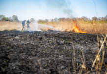 Jongen zet per ongeluk rietkraag in brand bij Kanaalweg