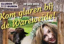 Zondag schaapscheerfeest met livemuziek bij Wareweide