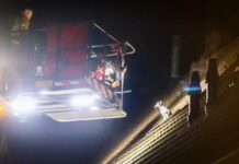 Kat zit urenlang op dak woning: brandweer rukt uit met groot materieel